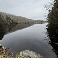 Pachaug State Forest - Green Falls Area - Green Pond
