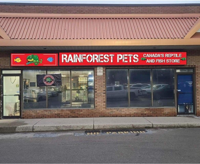 RAINFOREST PETS Request Information 1439 Upper Ottawa Street, Hamilton, Ontario Local Fish