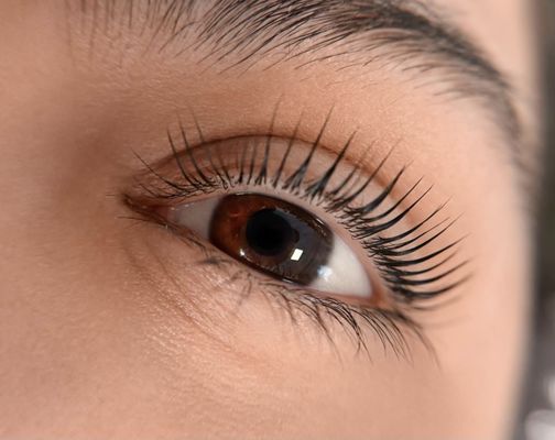 My Perfect Brows by null