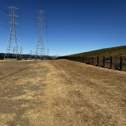 Seal Point Dog Park - Open space