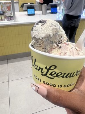 Van Leeuwen Ice Cream by null