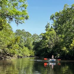 Edisto River Adventures