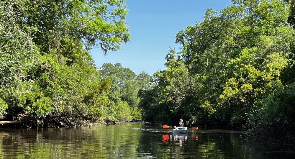 Edisto River Adventures Logo