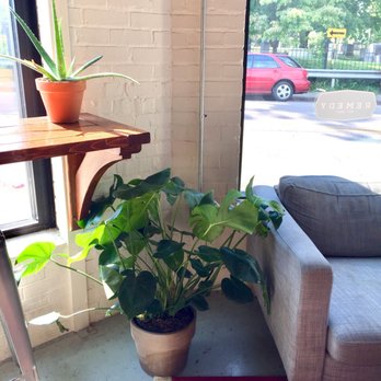 Remedy Coffee - Monstera & aloe loving next to the cozy grey couch - Coffee & Tea Near Me - Knoxville, Tennessee Remedy Coffee - Monstera & aloe loving next to the cozy grey couch - Coffee & Tea Near Me - Knoxville, Tennessee