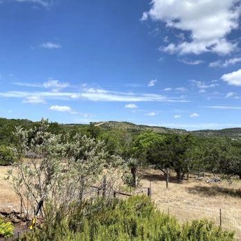 Austin Metro Tree & Landscape - Tree Services Near Me - Austin, Texas