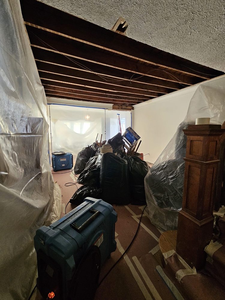 Crown Mold Specialists - mold inspector in Brooklyn, NY