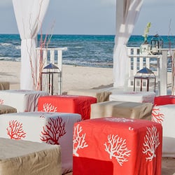 Kristi Ekman - Travel Consultant - Destination wedding in paradise