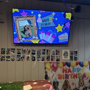 Omaha Dog Bar - Offer birthday parties - Dog Parks Near Me - Omaha, Nebraska Omaha Dog Bar - Offer birthday parties - Dog Parks Near Me - Omaha, Nebraska