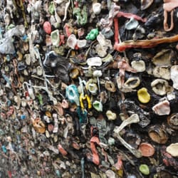 Central Coast Food Tours - Bubble Gum Alley