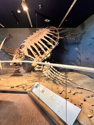 North Dakota Heritage Center & State Museum by null