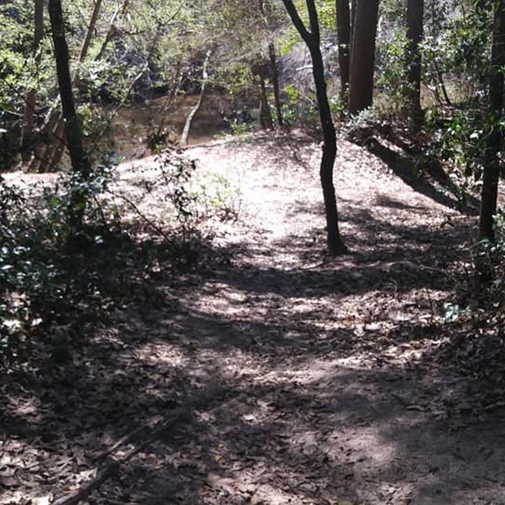 The supposed "boat ramp" with the 10 foot drop into the creek The supposed "boat ramp" with the 10 foot drop into the creek