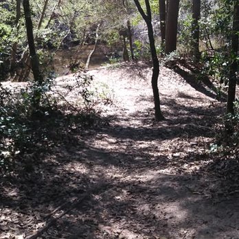 Lake Houston Wilderness Park - The supposed "boat ramp" with the 10 foot drop into the creek - Parks Near Me - New Caney, Texas Lake Houston Wilderness Park - The supposed "boat ramp" with the 10 foot drop into the creek - Parks Near Me - New Caney, Texas