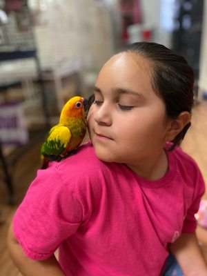 Birds & More by null