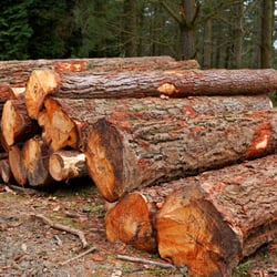 J-R Logging, LLC