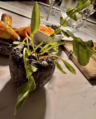 The Restaurant at Zero George by null The Restaurant at Zero George by null