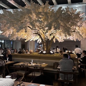 Janken - Japanese Near Me - Portland, Oregon Janken - Japanese Near Me - Portland, Oregon