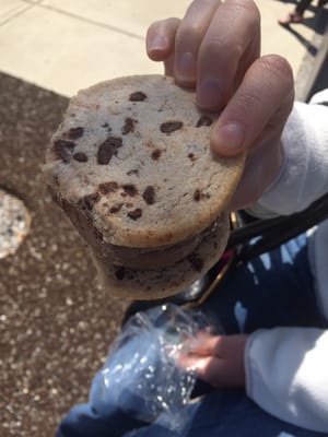 Zsa's Ice Cream by null