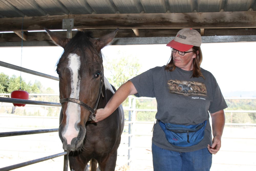 GOOD DOGS PET SITTING Updated October 2024 18 Photos & 18 Reviews