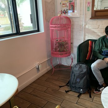 Deseo Coffee Shack - Pink bird cage! - Coffee & Tea Near Me - Phoenix, Arizona