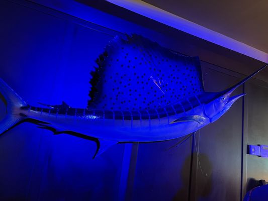 Casablanca Waterfront Bar and Grill by null