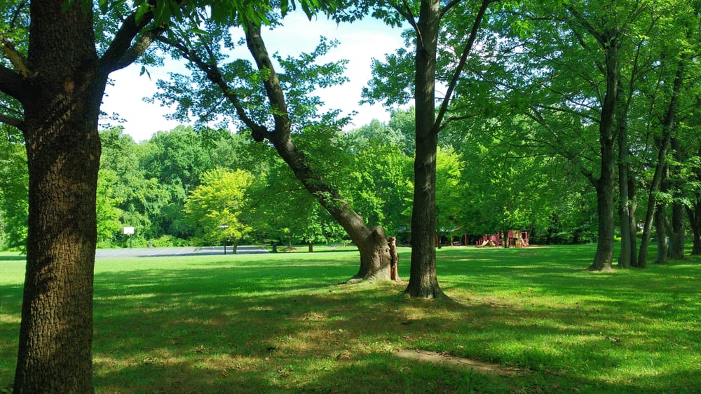 Tysons Pimmit Park Logo
