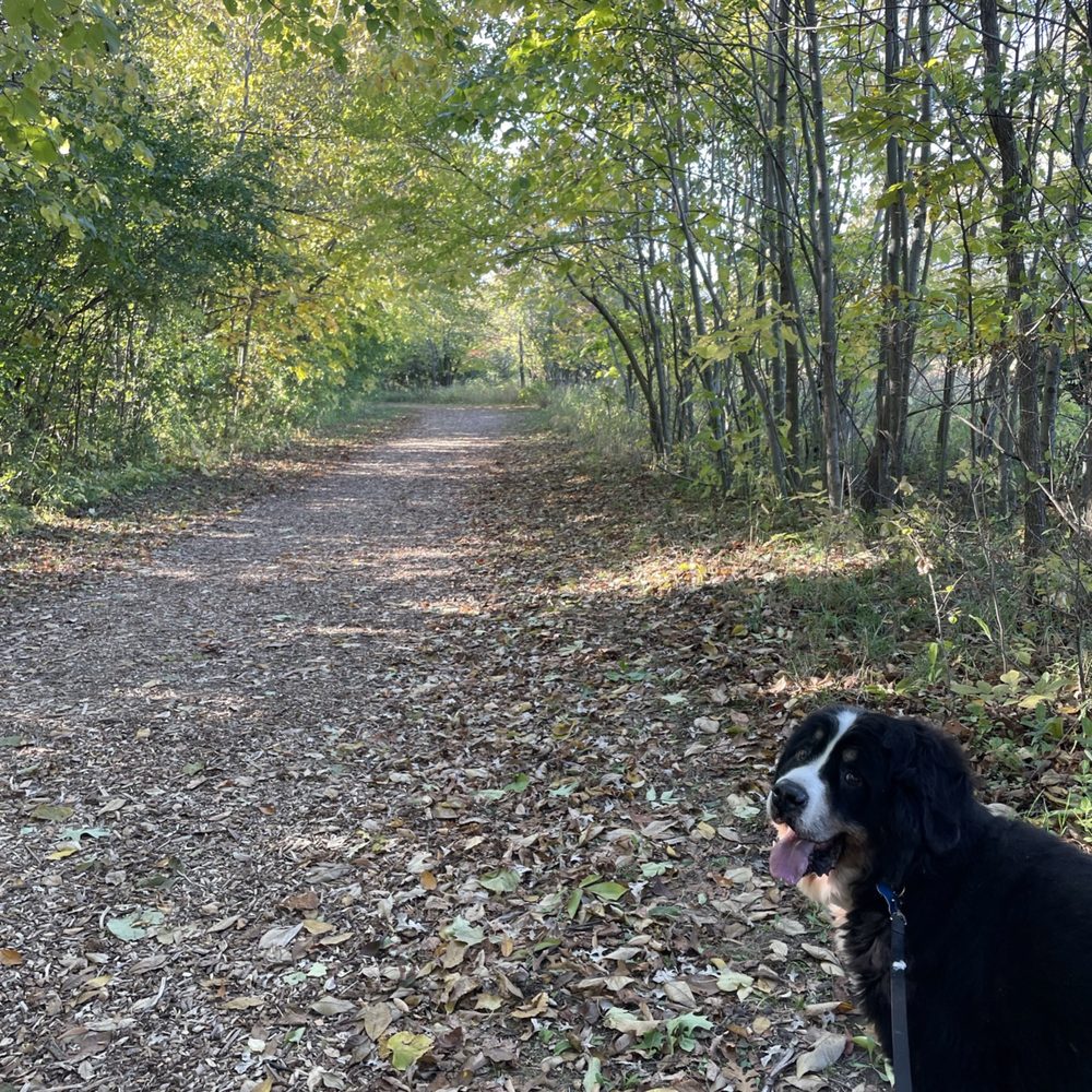 Nashotah Park - Trail - Parks Near Me - Nashotah, Wisconsin Nashotah Park - Trail - Parks Near Me - Nashotah, Wisconsin