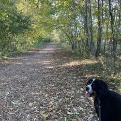 Nashotah Park - Trail
