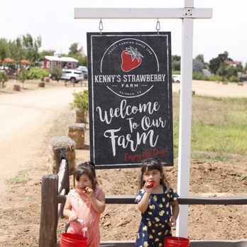 Kenny's Strawberry Farm - Fruits & Veggies Near Me - Fallbrook, California