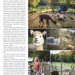 Windy Crow Farm - Windy Crow Farm