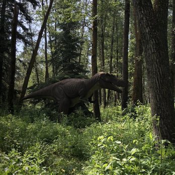 Jurassic Forest - Amusement Parks Near Me - Gibbons, Alberta Jurassic Forest - Amusement Parks Near Me - Gibbons, Alberta