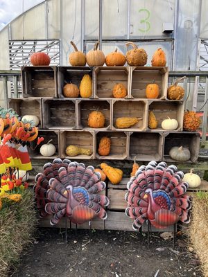 Frank's Produce & Greenhouse by null