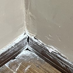 Rego Realty - Holes, holes roaches come thru