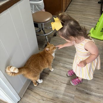 Smith County Animal Clinic - Veterinarians Near Me - Carthage, Tennessee