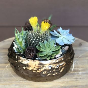 Echelon Floral Designs - Succulent garden - Floral Designers Near Me Echelon Floral Designs - Succulent garden - Floral Designers Near Me