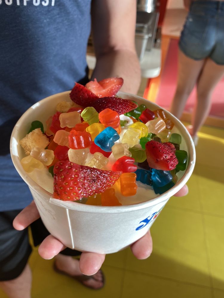 YOLICKITY FROZEN DESSERT ZONE WEBSTER 26 Photos & 23 Reviews 944