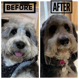 Before / After