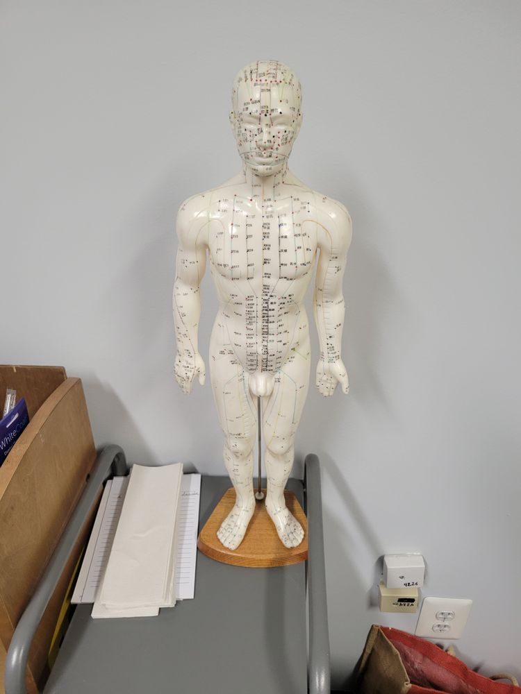 Healthy Pin Acupuncture - grief counselor in Fairfax, VA