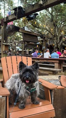 Wrong Iron On The Greenway by null