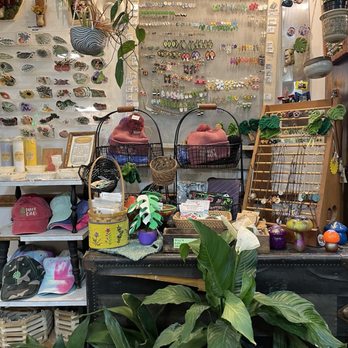 Put a Plant On It - Accessories - Flowers & Gifts Near Me - Buffalo, New York