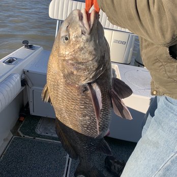 Just Cast Fishing Charters - Bigger still - Boat Charters Near Me - Galveston, Texas Just Cast Fishing Charters - Bigger still - Boat Charters Near Me - Galveston, Texas