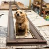 Holton Studio Frame-Makers & Gallery gift card