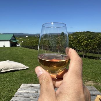 Vignoble Sainte-Petronille - Wineries Near Me - Sainte-Pétronille, Quebec