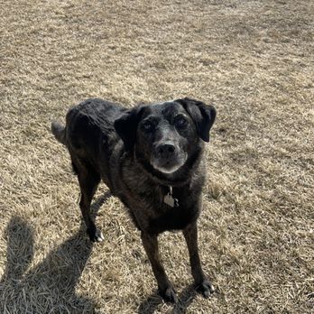 McKnight Veterinary Hospital - Dog - Veterinarians Near Me - Calgary, Alberta McKnight Veterinary Hospital - Dog - Veterinarians Near Me - Calgary, Alberta