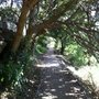 Photo of Curlew Camp