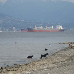 Off leash dog beach