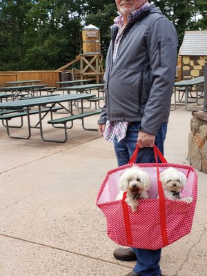 vca mccormick animal hospital