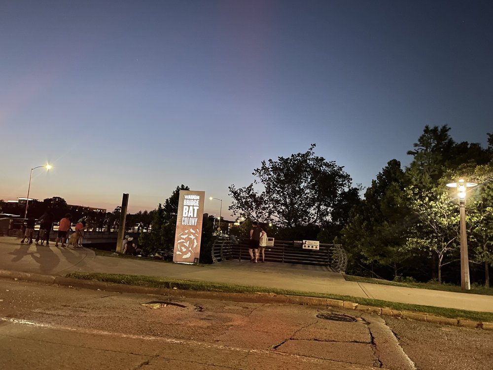 WAUGH DRIVE BAT COLONY Updated September 2024 111 Photos & 45