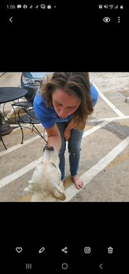 FROGS TO DOGS - Updated July 2025 - 70 Photos & 121 Reviews - 318 E ...