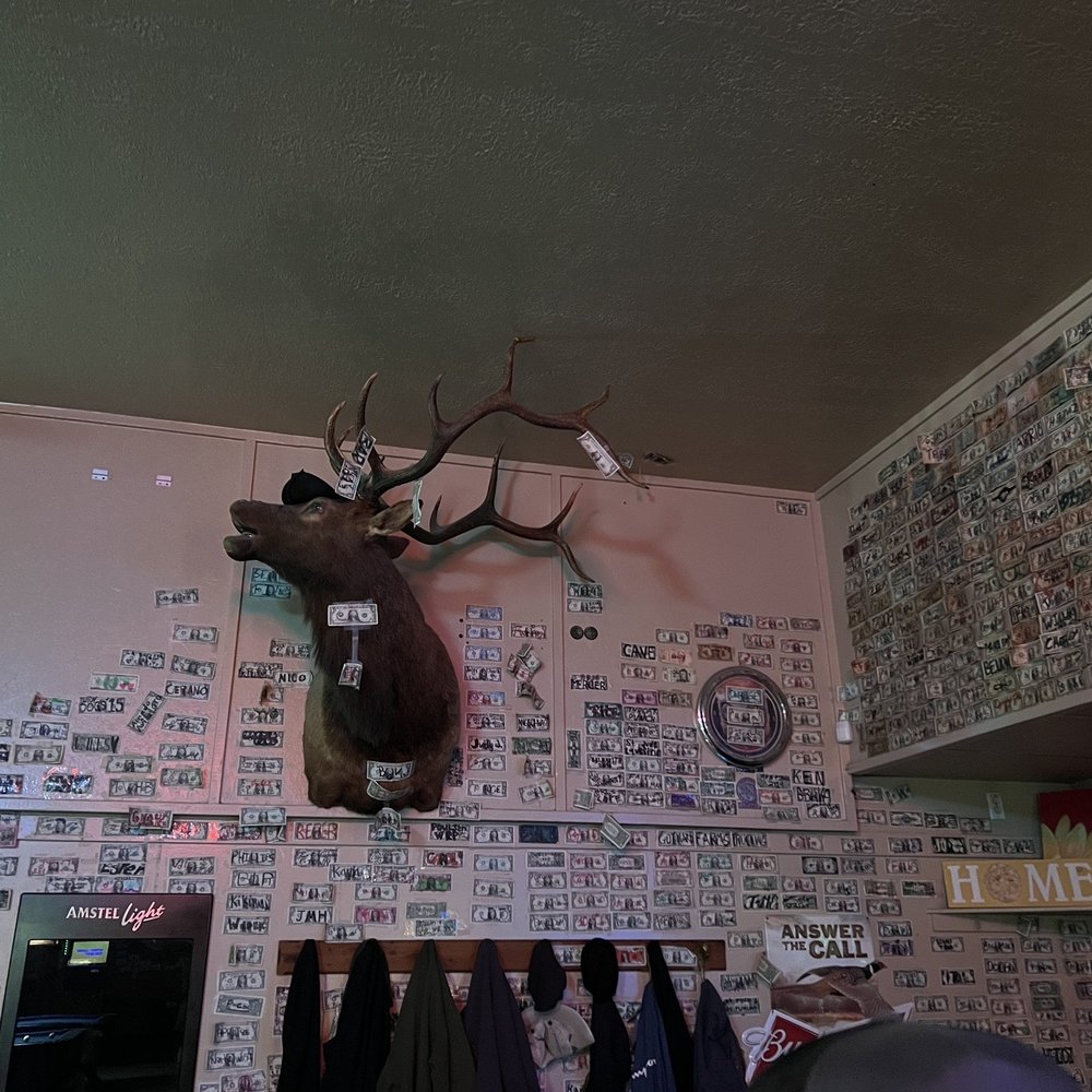 Triangle Bar - a deer head mounted on the wall - Bars Near Me - Mount Pleasant, Utah Triangle Bar - a deer head mounted on the wall - Bars Near Me - Mount Pleasant, Utah