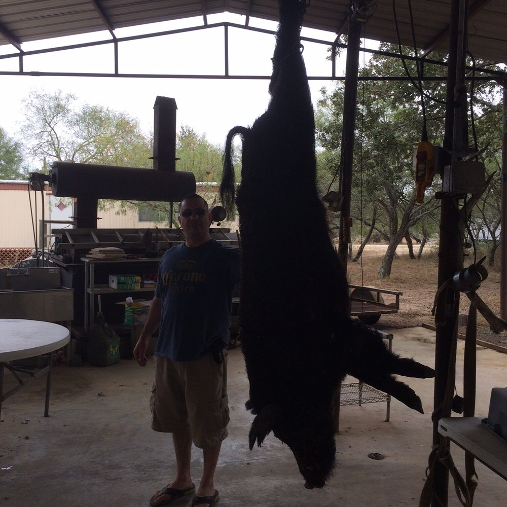 Hunting Texas Hogs - Wildlife Hunting Ranges Near Me - Gonzales, Texas
